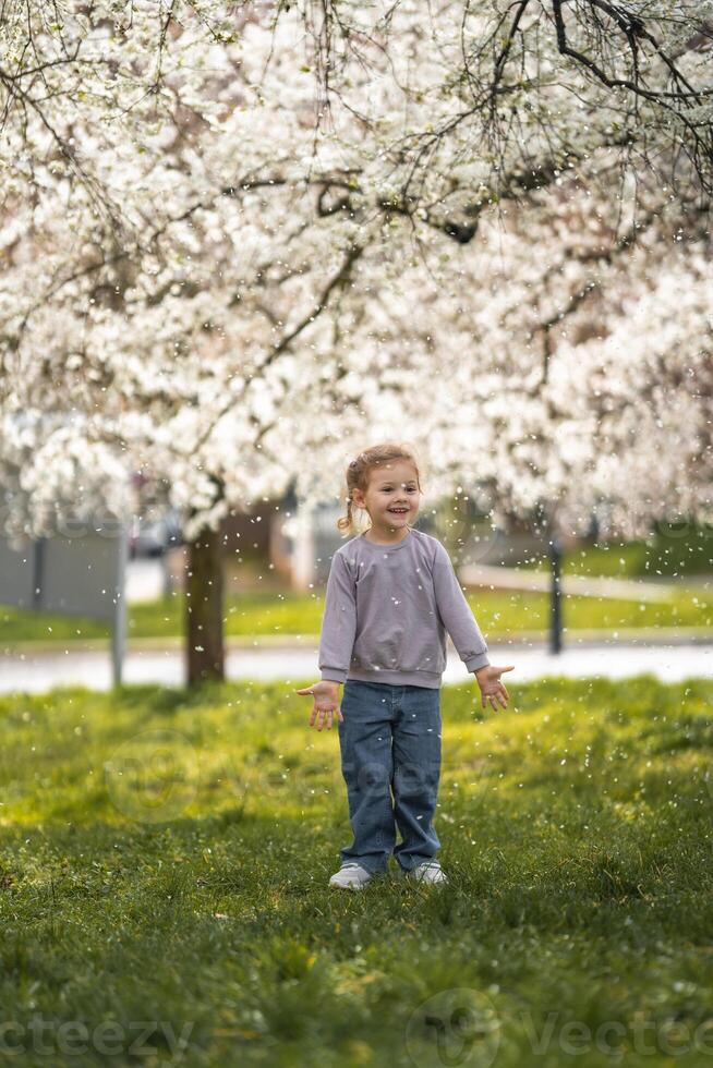 Little girl stands under a blooming apple tree. The wind blows and flower petals fly like snow in Prague park, Europe photo