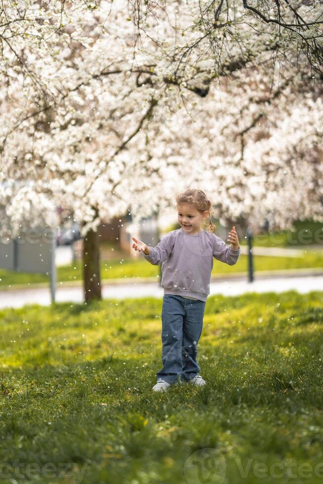Little girl stands under a blooming apple tree. The wind blows and flower petals fly like snow in Prague park, Europe photo