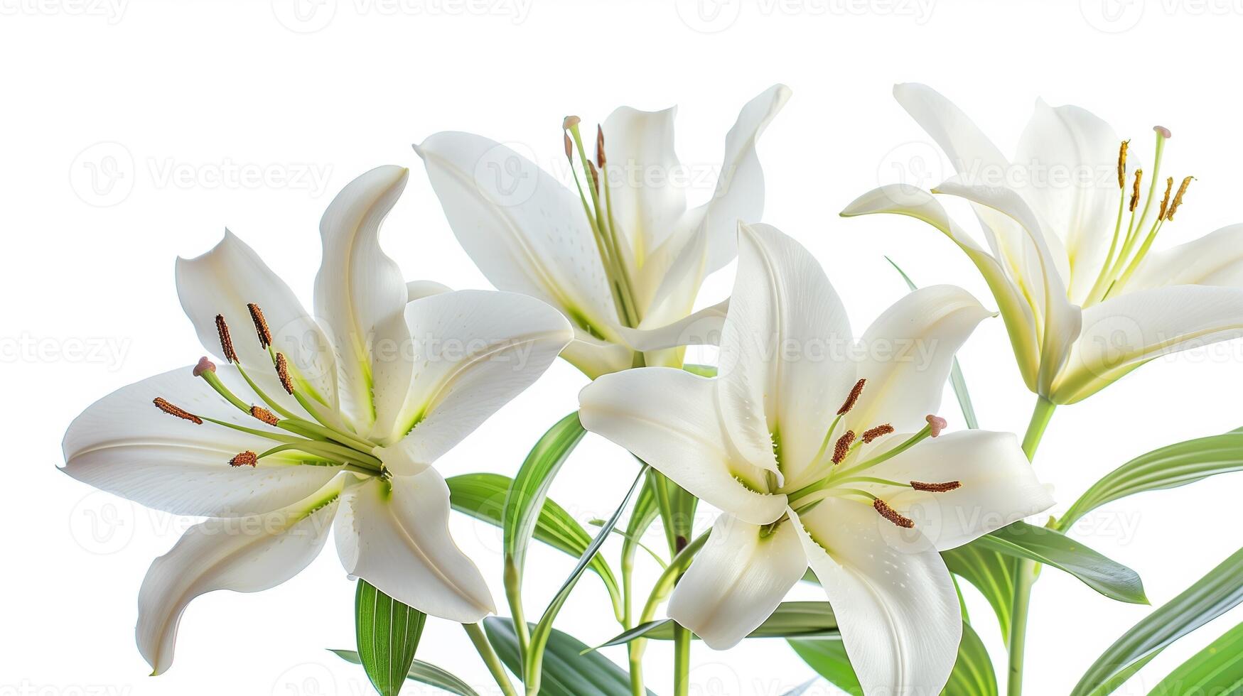 AI generated White Lilies Spring Easter Background Space photo