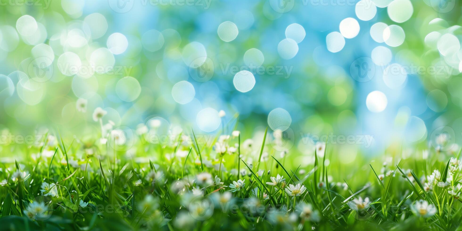 AI generated Spring Freshness, Green Grass and Bokeh Wildflowers photo