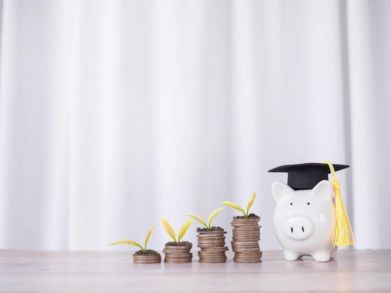 Piggy bank with graduation hat and plants growing up on stack of coins. The concept of saving money for education, student loan, scholarship, tuition fees in the future photo