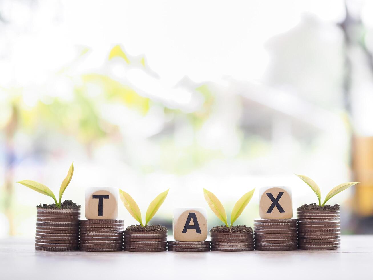 Wooden blocks with the word TAX and plants growing up on stack of coins. The concept about saving money and manage time to paying tax photo