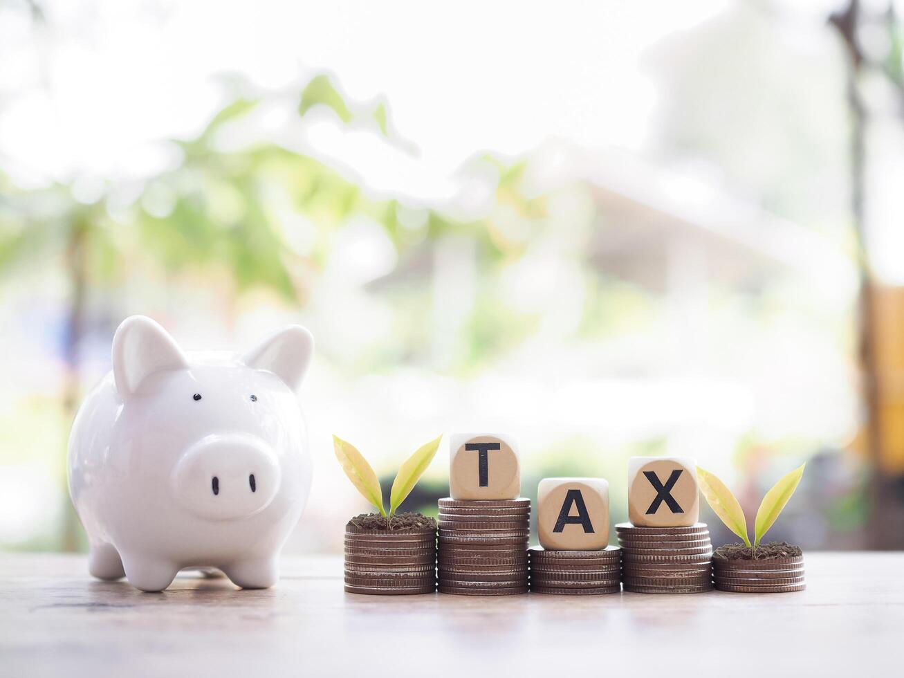 Piggy bank, Wooden blocks with the word TAX and plants growing up on stack of coins. The concept of saving money for payment tax in future photo
