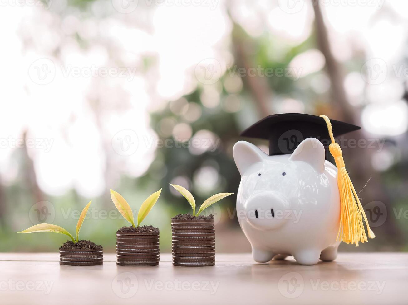 Piggy bank with graduation hat and plants growing up on stack of coins. The concept of saving money for education, student loan, scholarship, tuition fees in the future photo