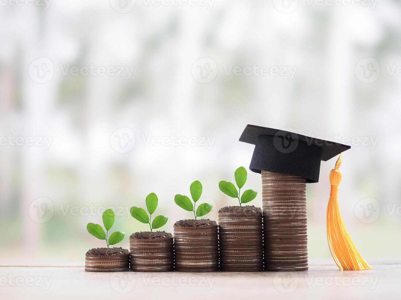 Graduation hat and plants growing up on stack of coins. The concept of saving money for education, student loan, scholarship, tuition fees in the future photo