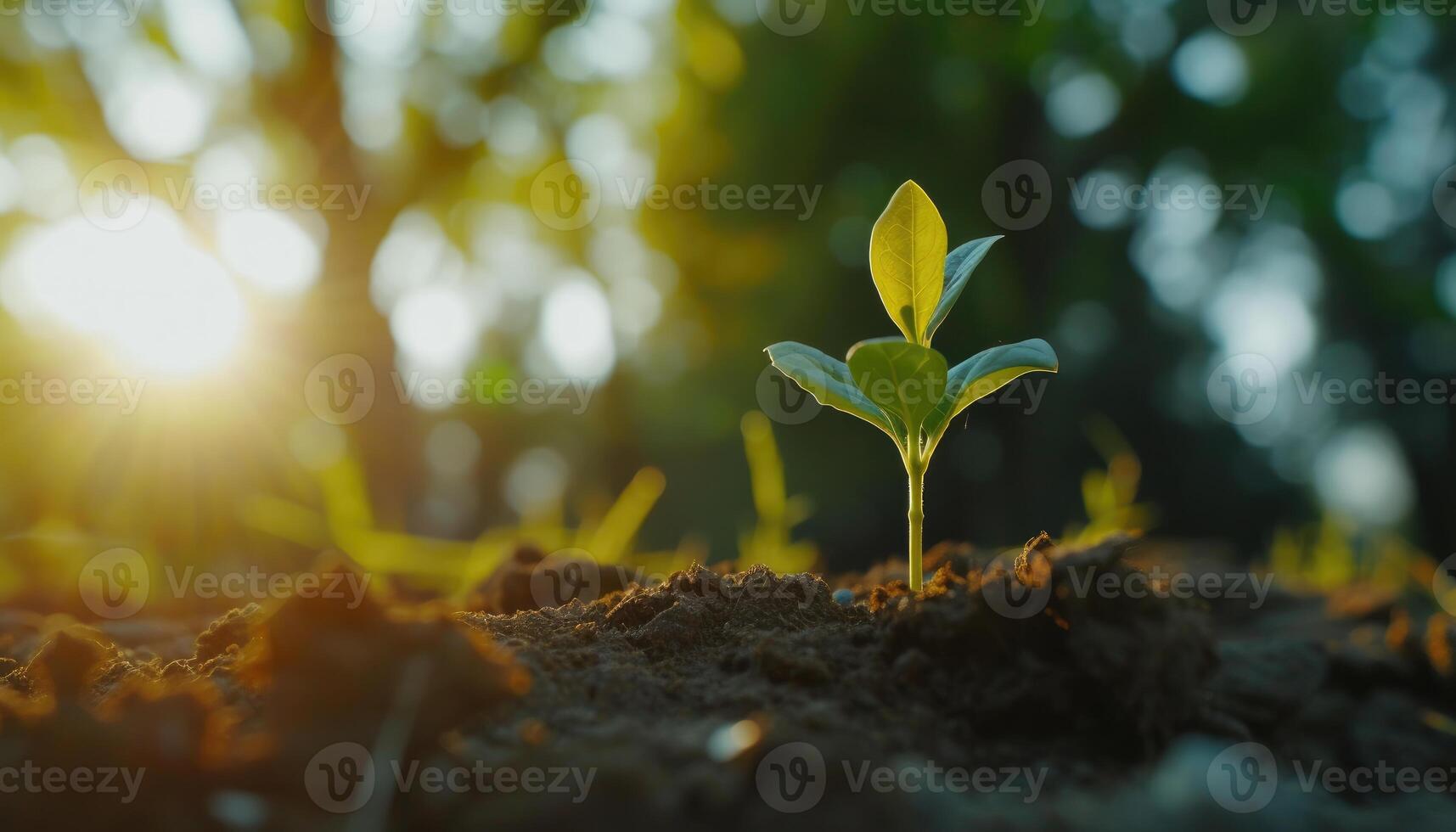 AI generated sprout are growing blurred natural background with sunlight photo