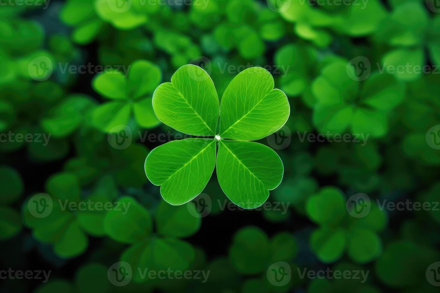 AI generated clover leaf photo