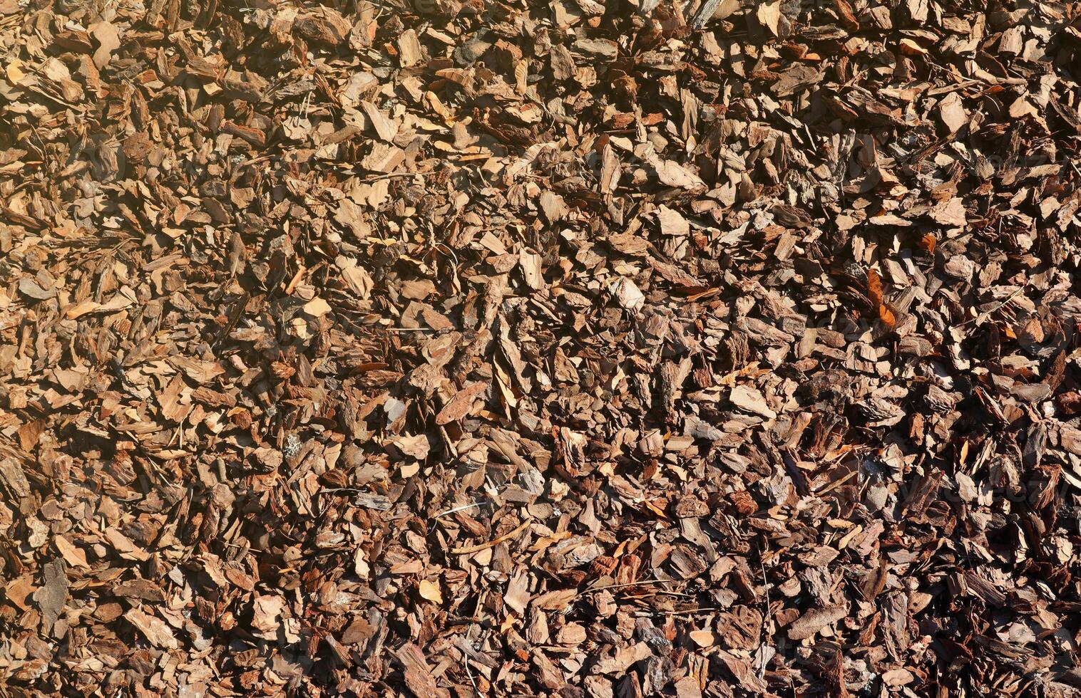 Full frame closeup of brown mulch used for gardening and landscape decoration. Texture of Birch mulch bark for garden. Closeup of wood chip path covering photo