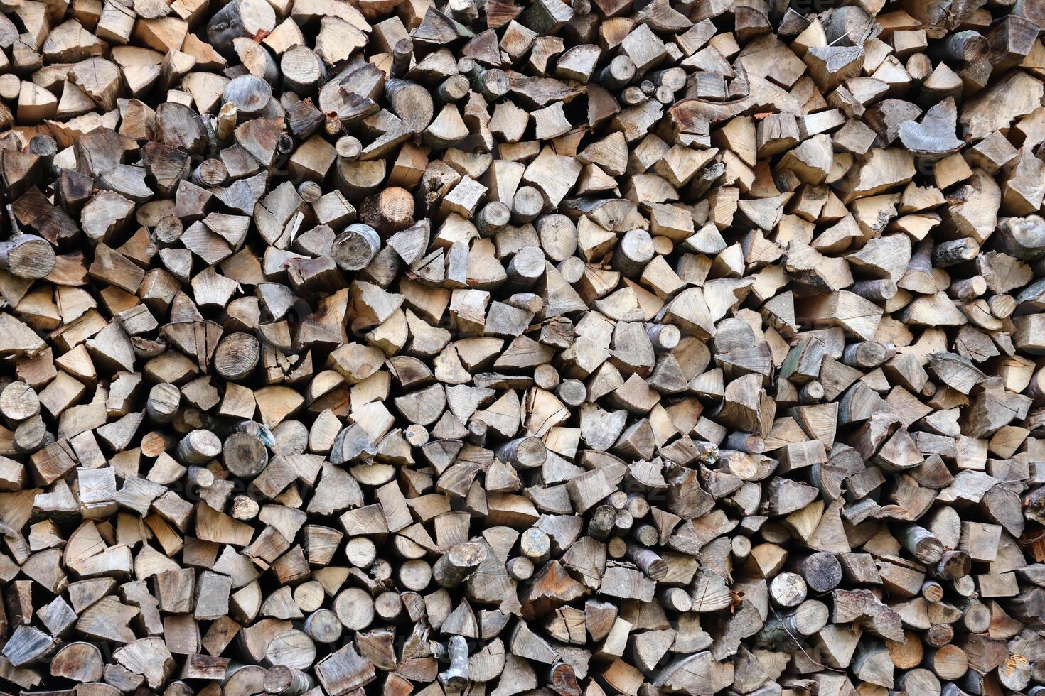 Firewood stacked near the wooden wall of old hut. Many chopped logs of firewood photo