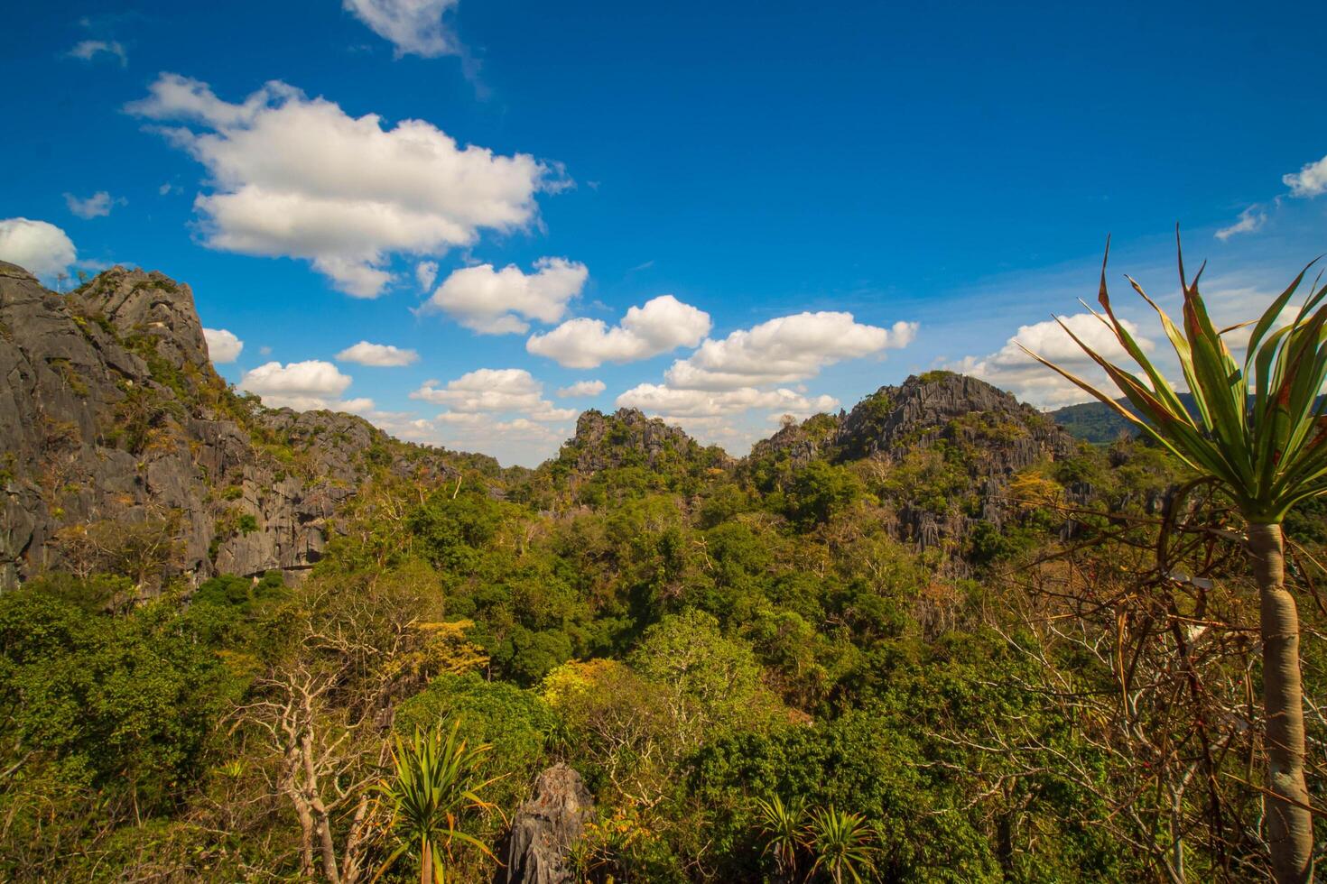 Aerial panorama of Thailand's National Park, there is a well-known tourist destination with views of the forest and limestone mountain. photo