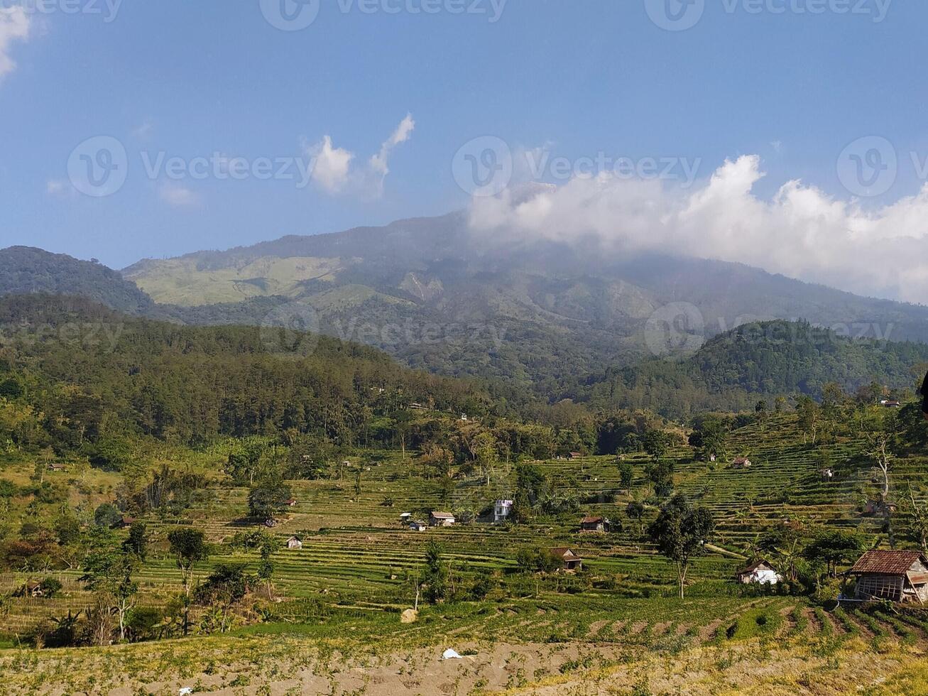 Landscape view of mountains and rice fields photo