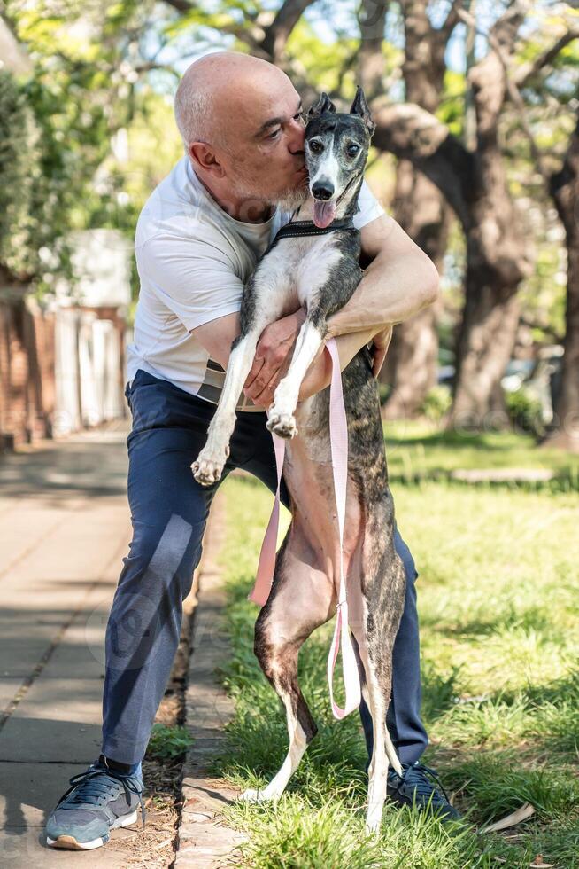 Mature man kissing his rescued dog, a black and white Spanish greyhound. photo