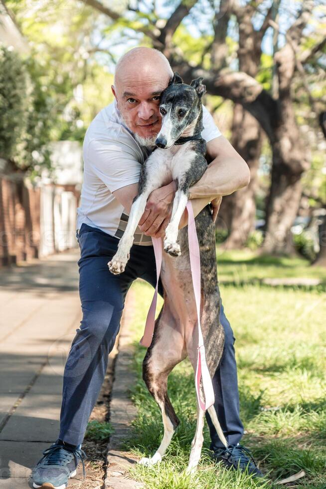 Portrait of greyhound dog with his owner hugging him in the sunlight. photo