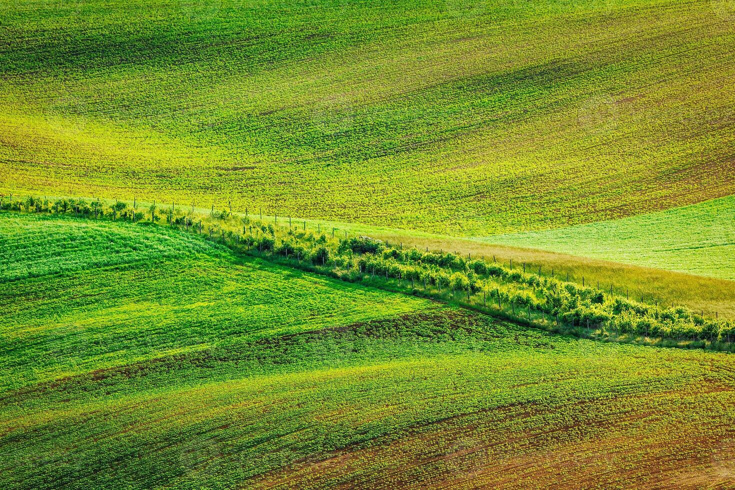 Abstract pattern of rolling fields photo