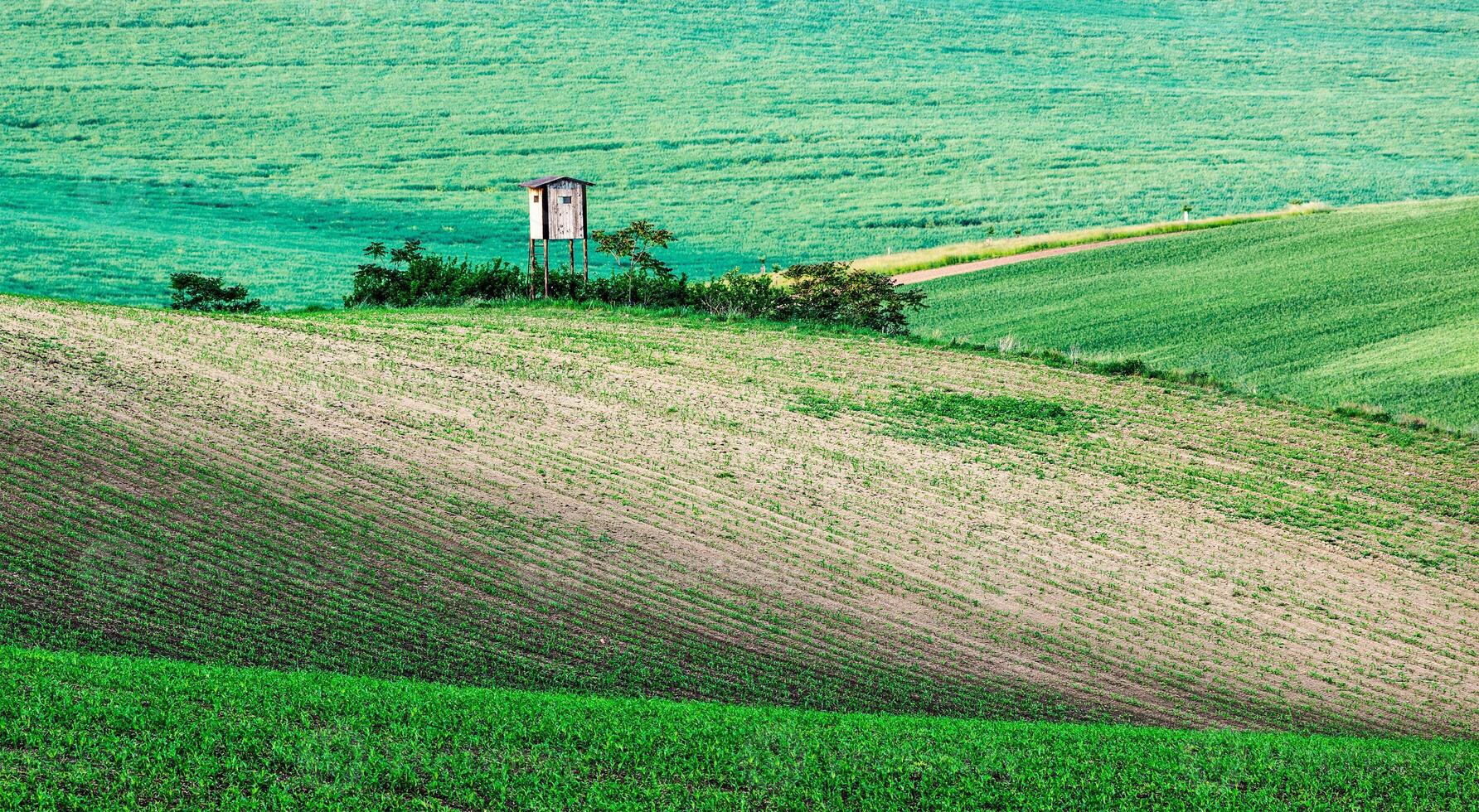 Moravian rolling landscape with hunting tower shack photo