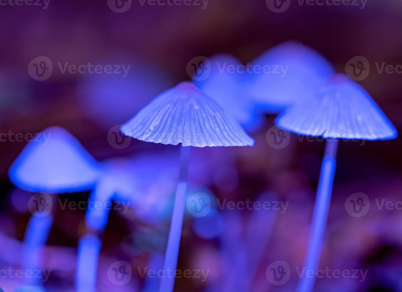 AI generated Macro photo of mushroom house with light
