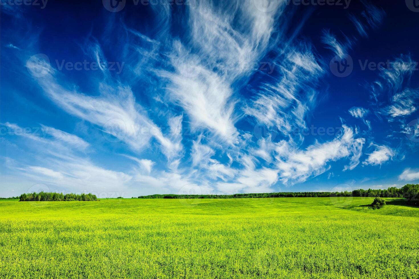 primavera verano verde campo paisaje paisaje foto