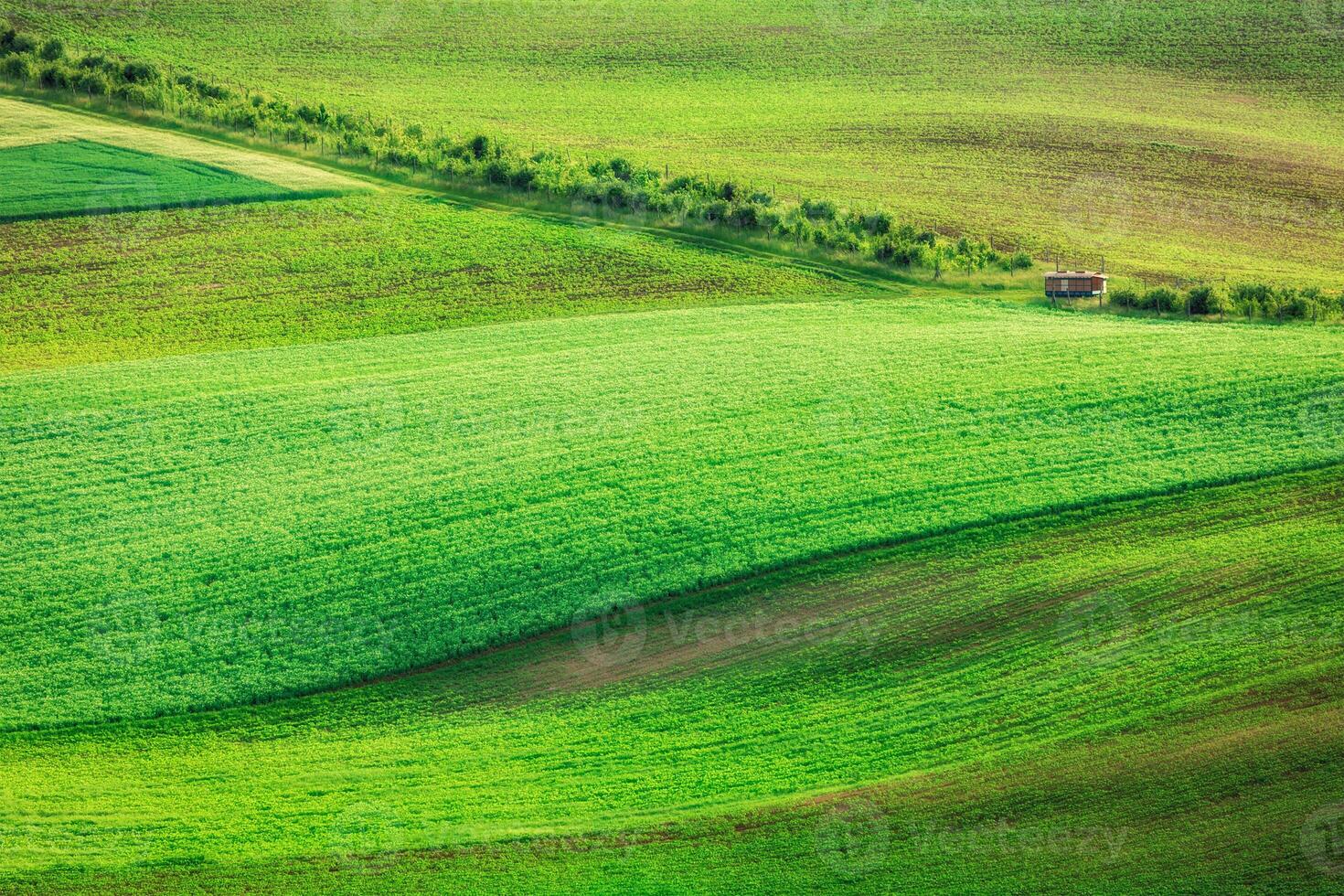 Rolling landscape of South Moravia photo