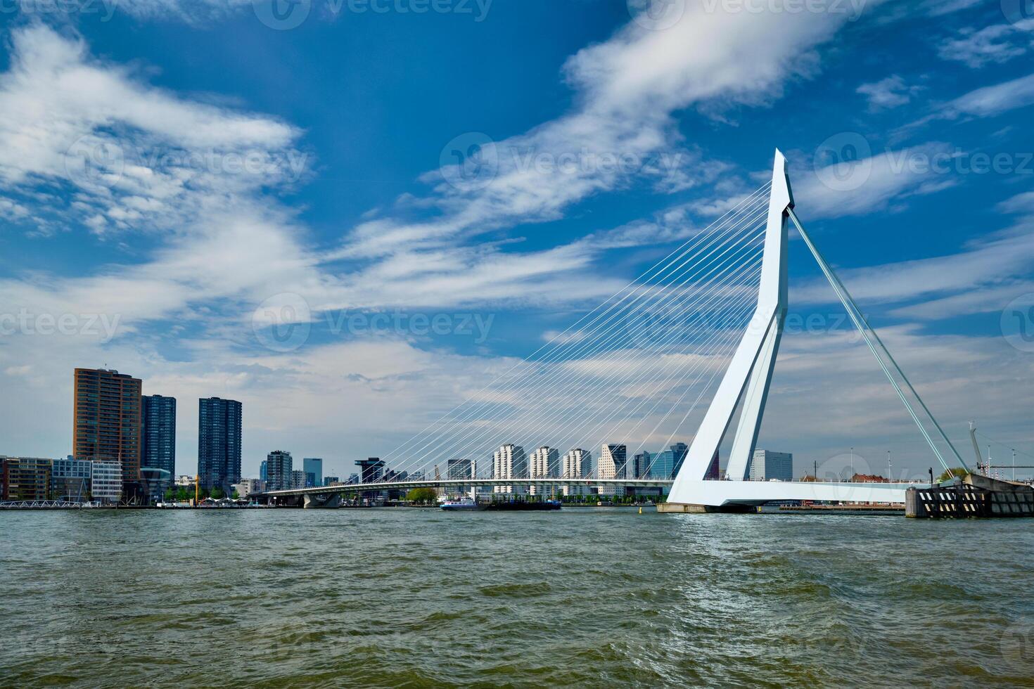 View of Rotterdam over Nieuwe Maas with Erasmusbrug bridge. Rottherdam, the Netherlands photo