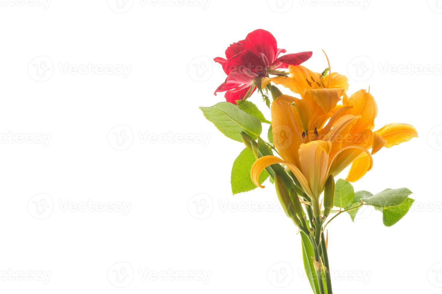bouquet of beautiful yellow lilies, on white background. photo