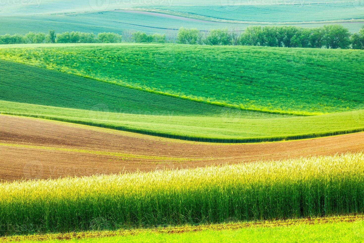 Moravian rolling landscape photo