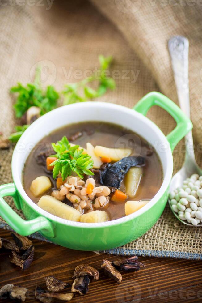 mushroom hot soup with beans in a bowl photo