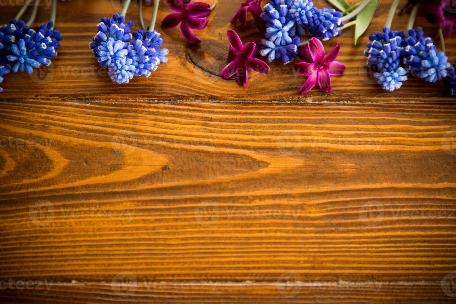 Wooden background with spring flowers and empty space photo