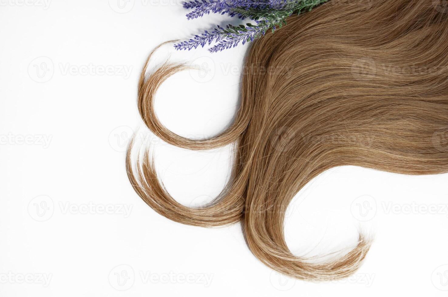 Beautiful long hair and a sprig of lavender on a white background photo