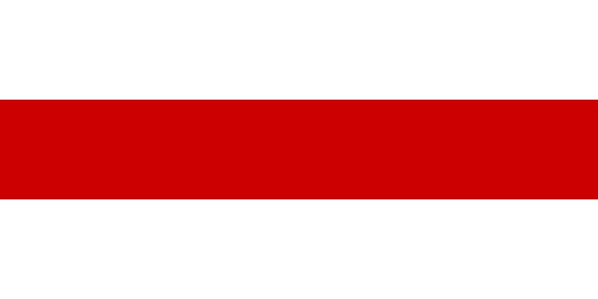 Flag of Belarus vector