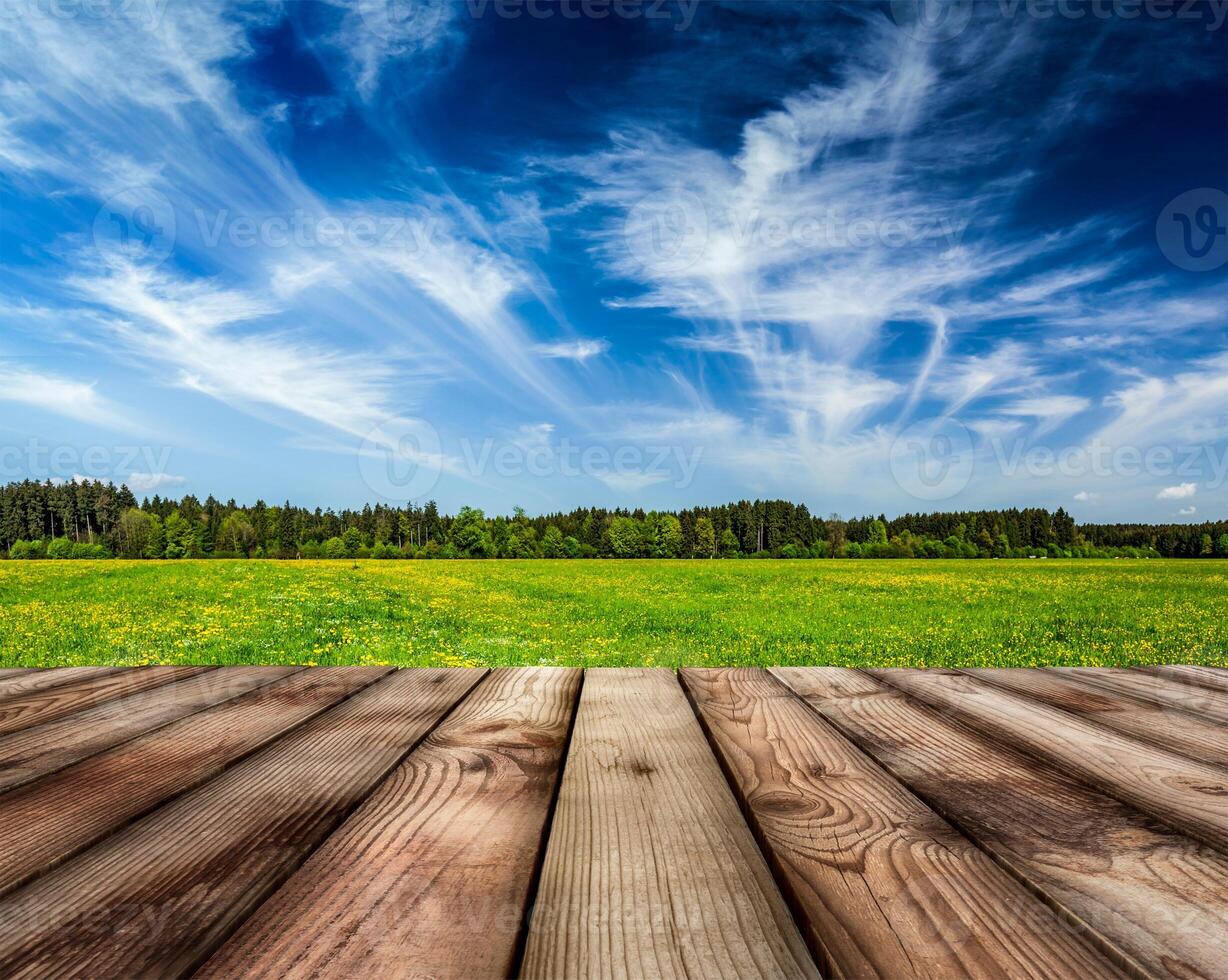 Wooden planks floor and summer meadow photo