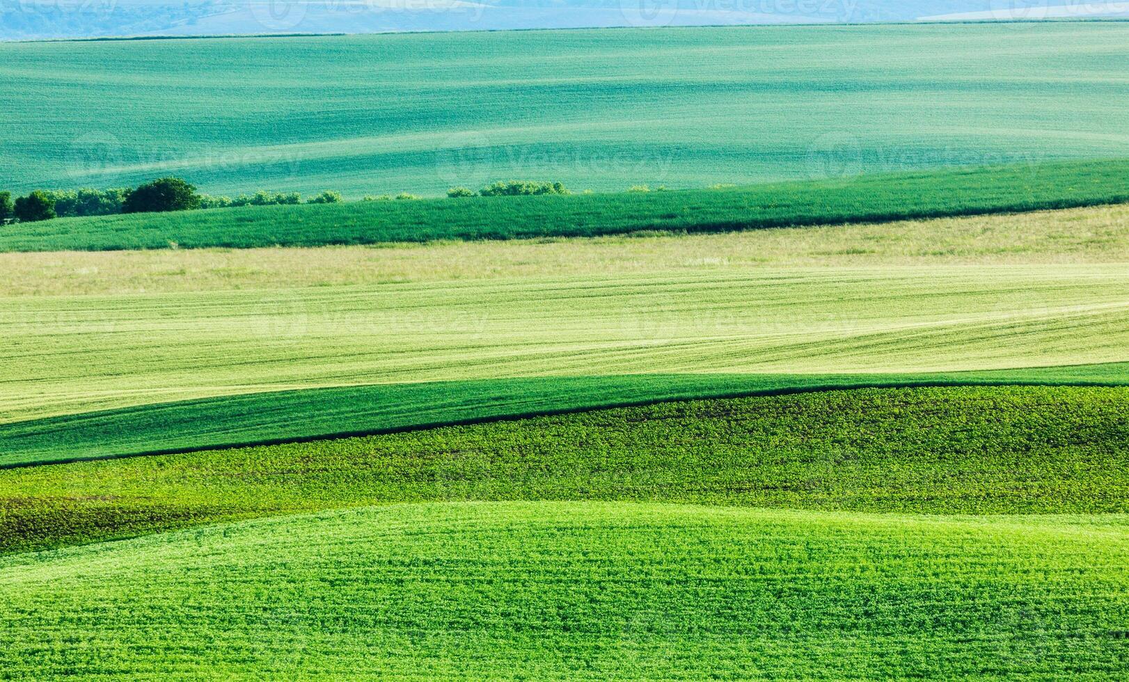 Abstract pattern of rolling fields photo