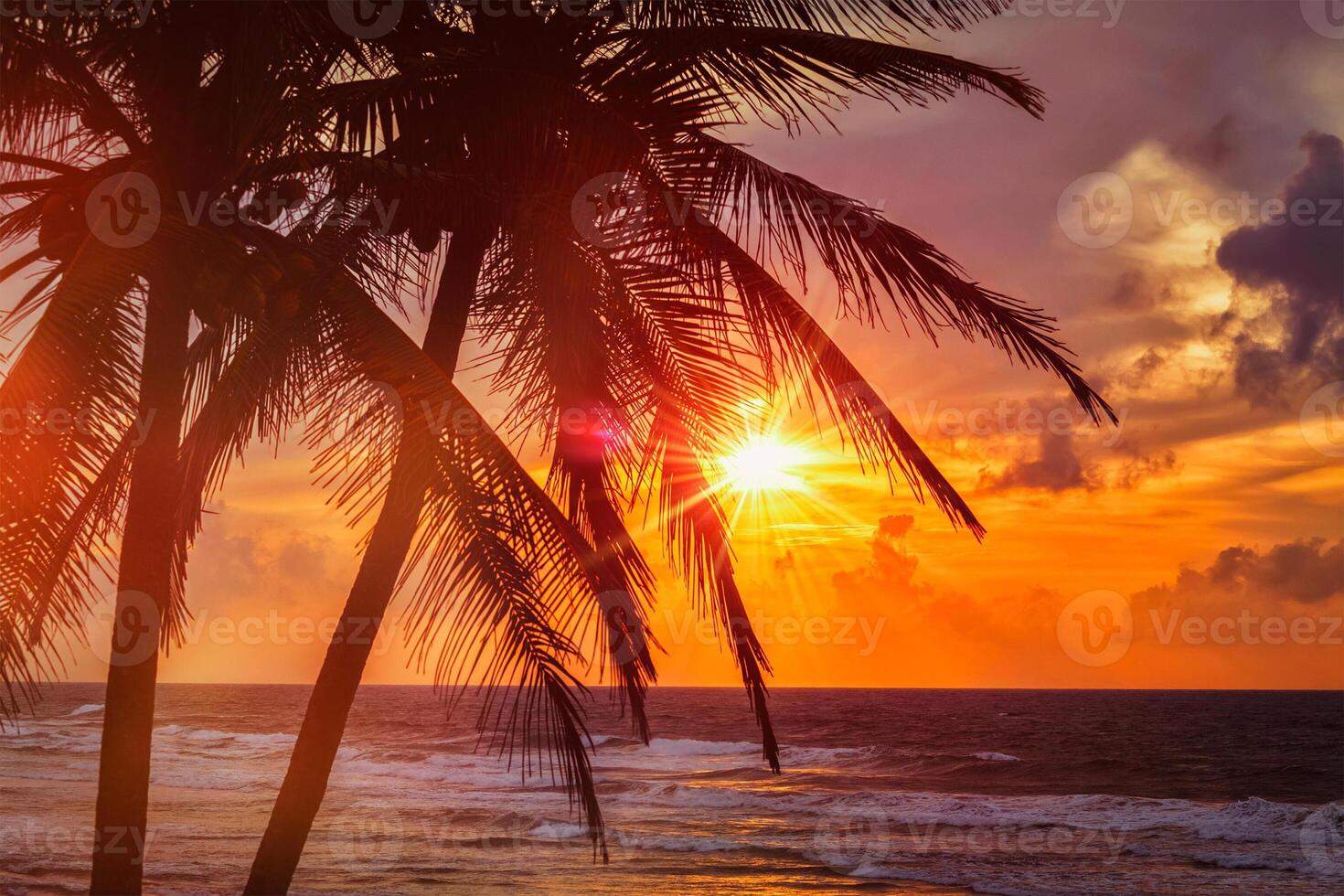 Tropical sunset scene with palms photo