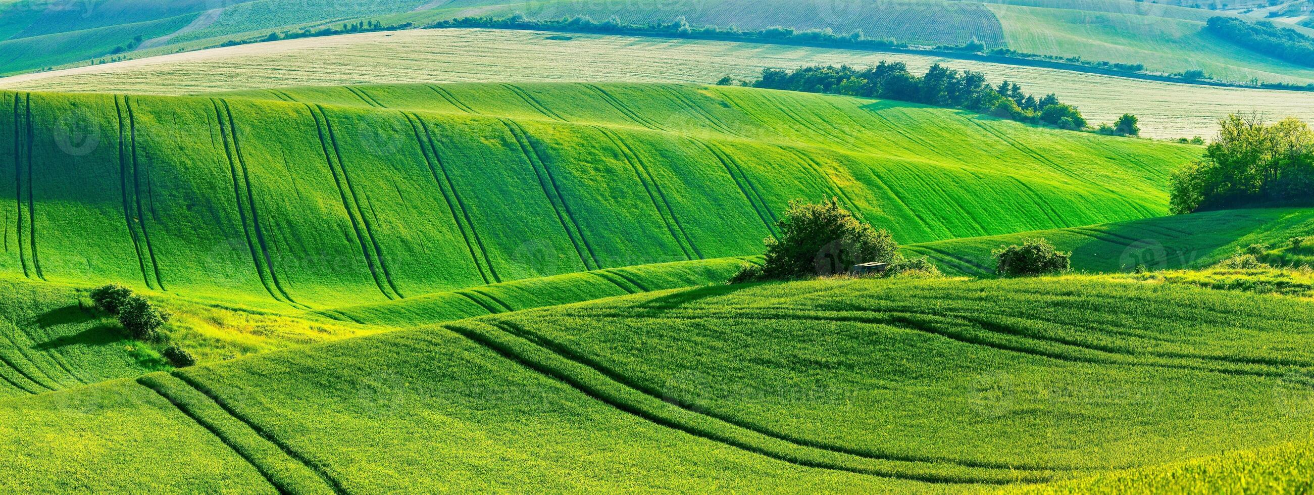 Moravian rolling landscape photo