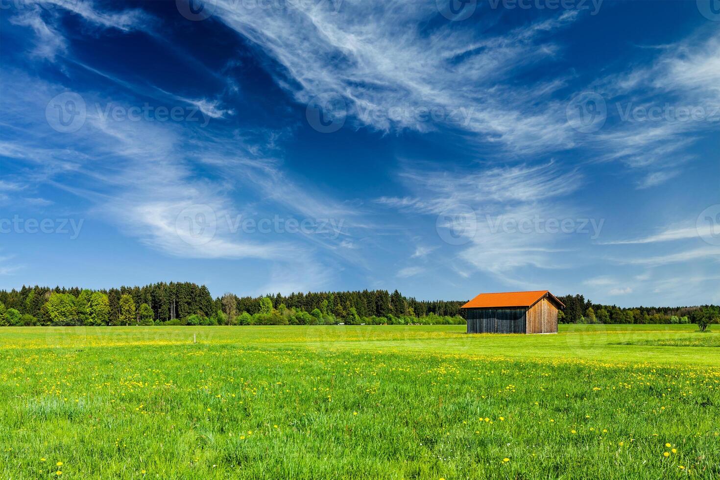 Summer meadow with barn shed in Germany photo