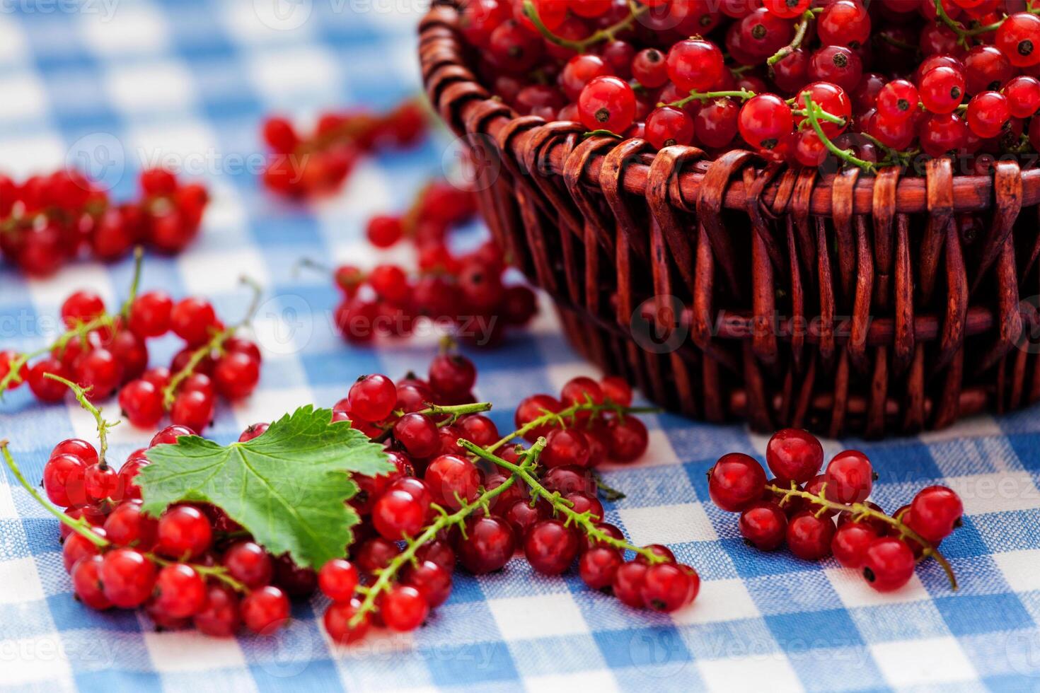Redcurrant in wicker bowl on the table photo