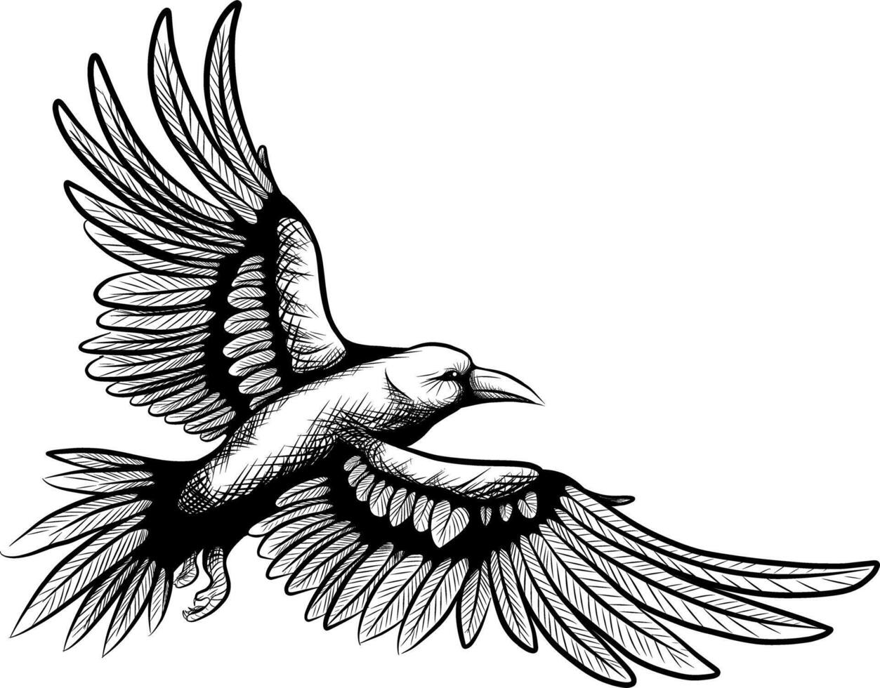 flying crow illustration vector