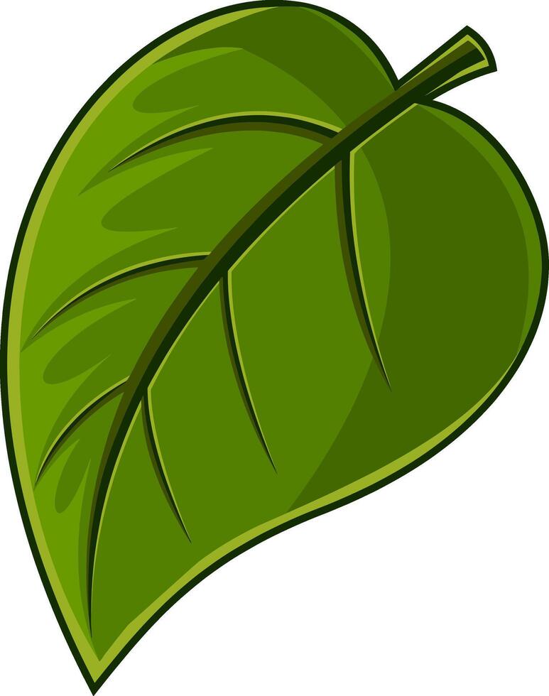 Cartoon Green Leaf Fresh Organic Plant vector