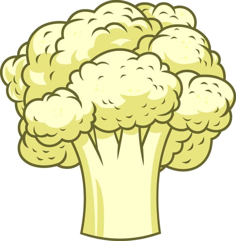 Cartoon Fresh White Cauliflower. Vector Hand Drawn Illustration