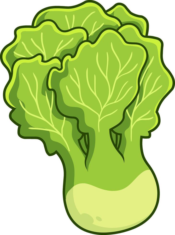 dibujos animados Fresco lechuga. vector mano dibujado ilustración aislado en transparente antecedentes