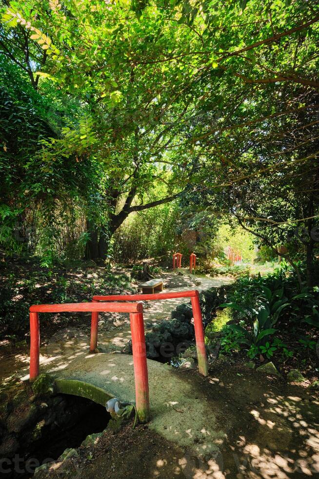 Chinese style bridge in asian part of tropical botanical garden in Lisbon, Portugal photo