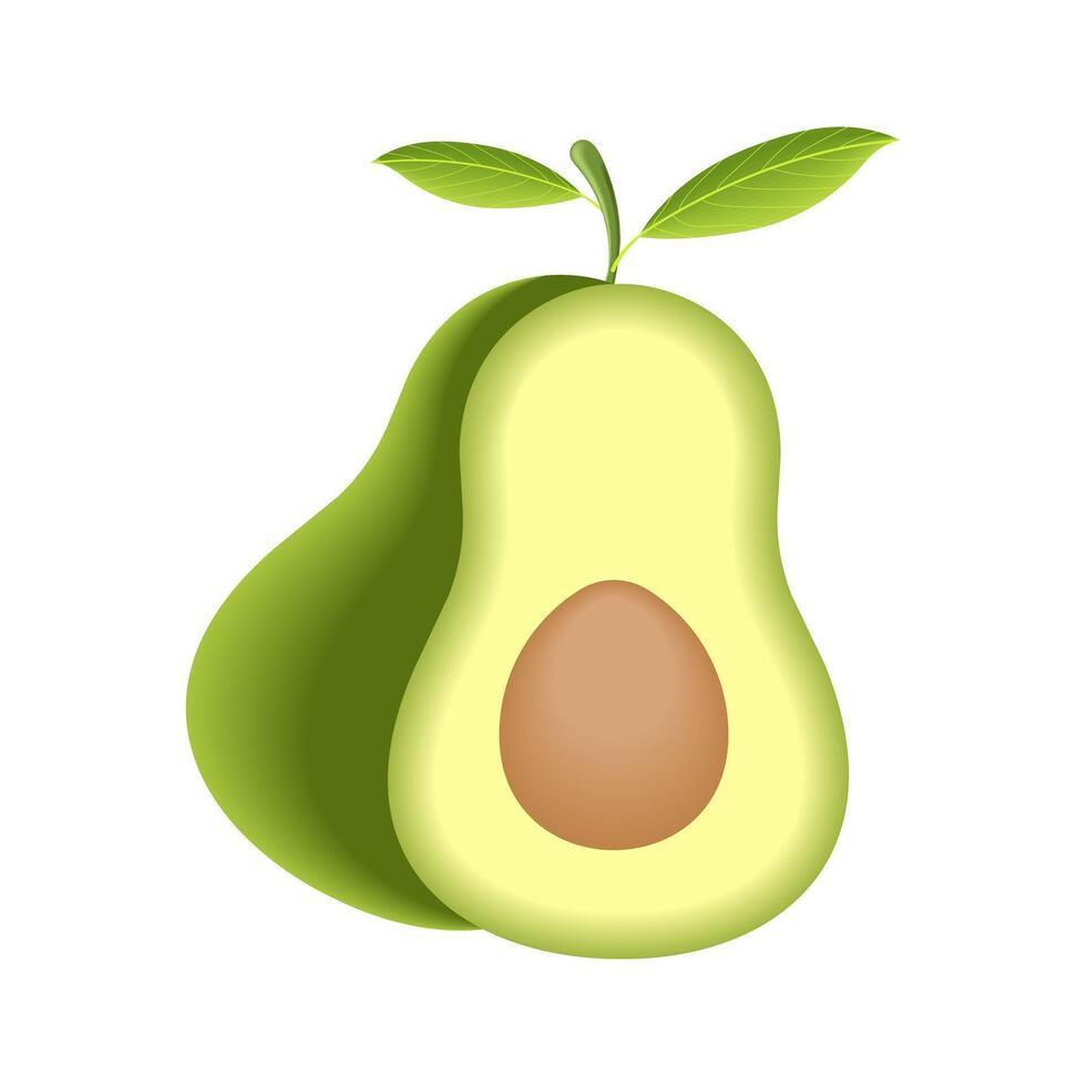 Slice of avocado fruit with seed in vector illustration