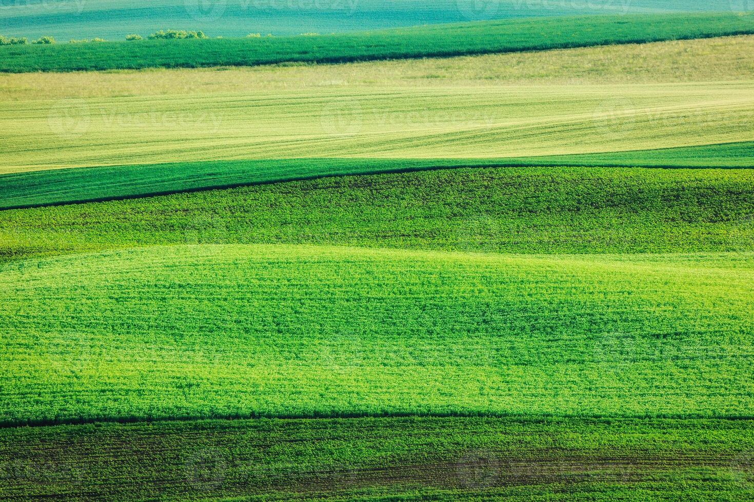 Abstract pattern of rolling fields photo
