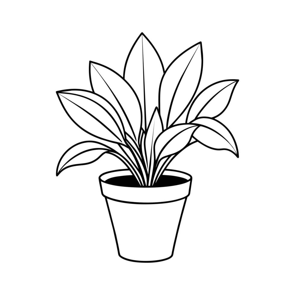 Home Plant in pots sketch vector