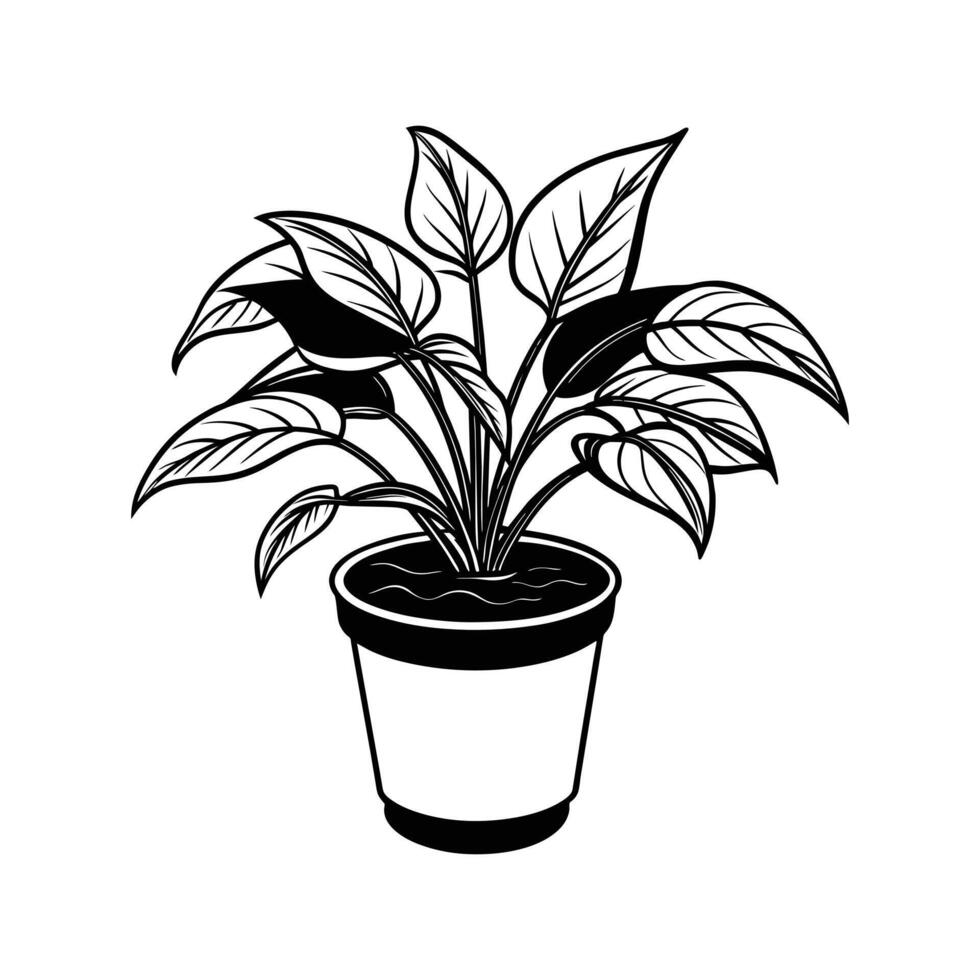 hogar planta en ollas bosquejo vector