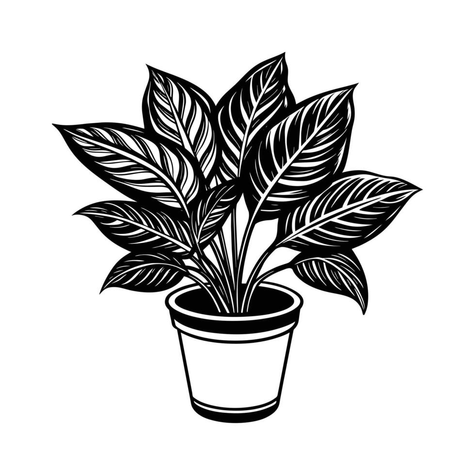 Home Plant in pots sketch vector