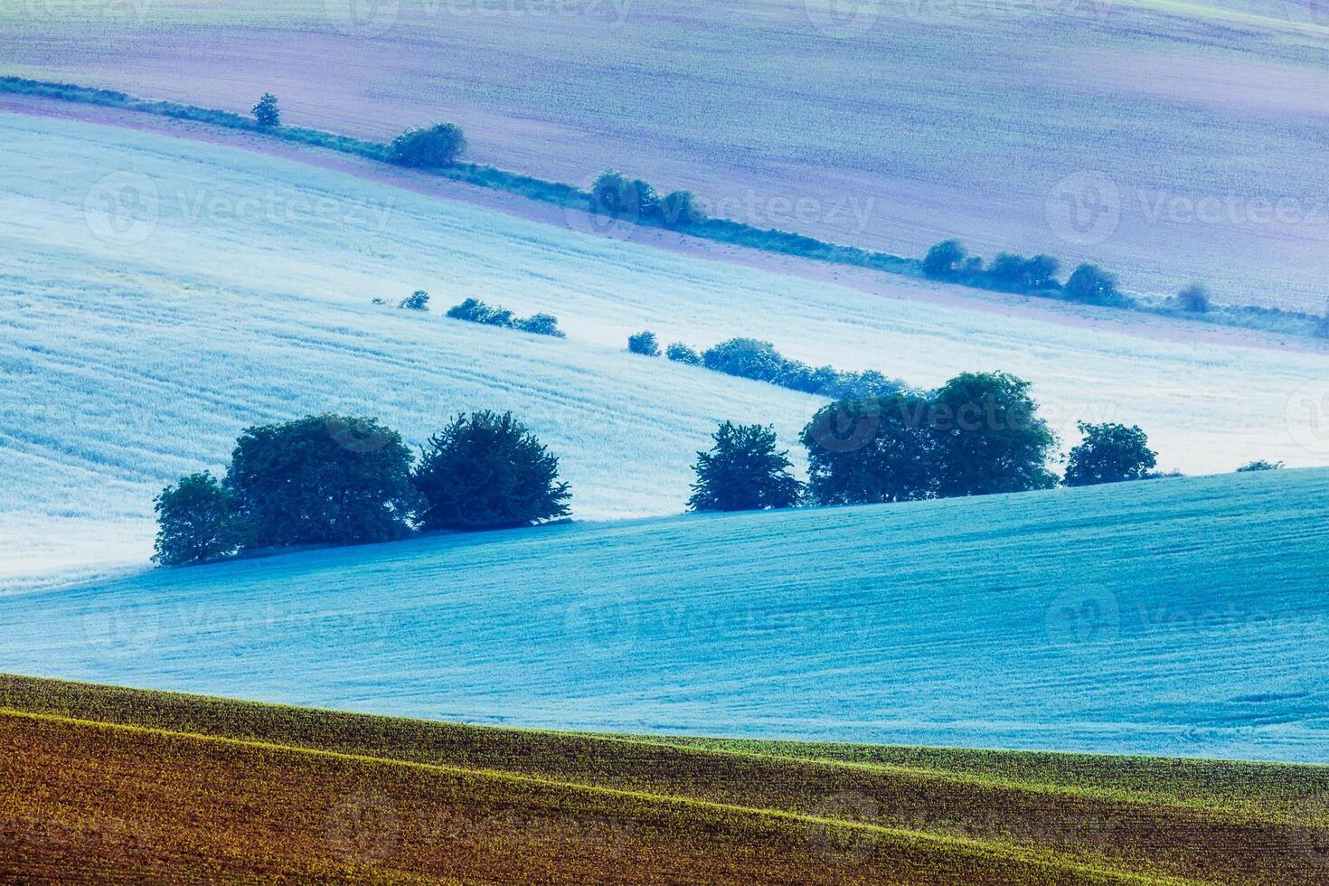 Rolling landscape of South Moravia in the morning photo