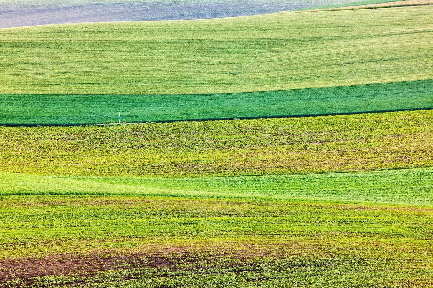 Abstract pattern of rolling fields photo