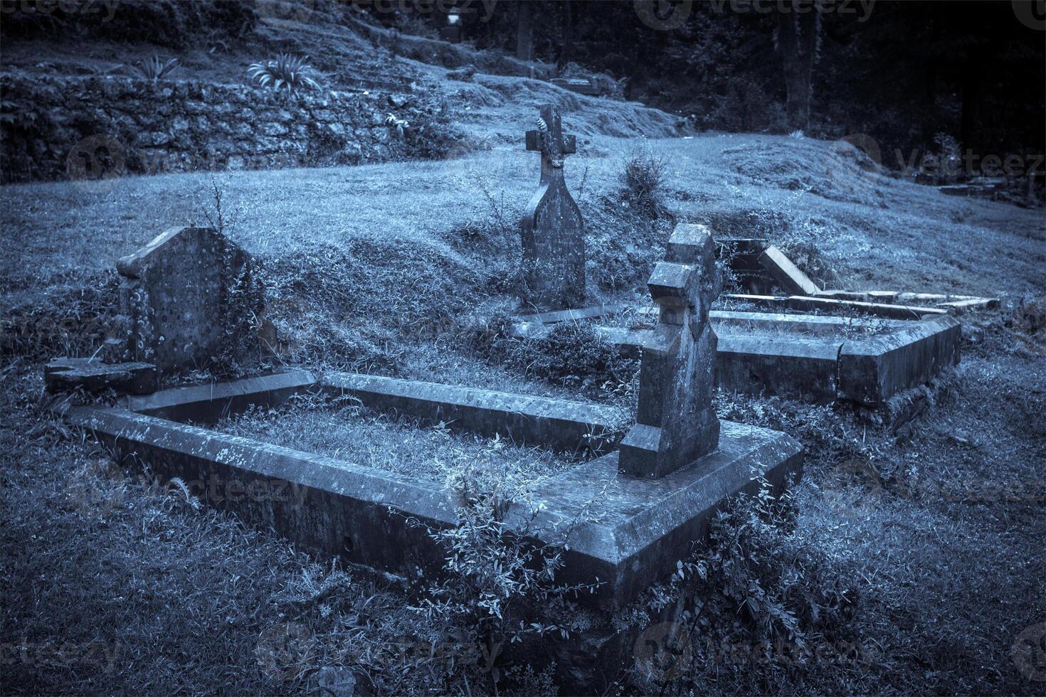 Spooky Halloween graveyard in fog photo