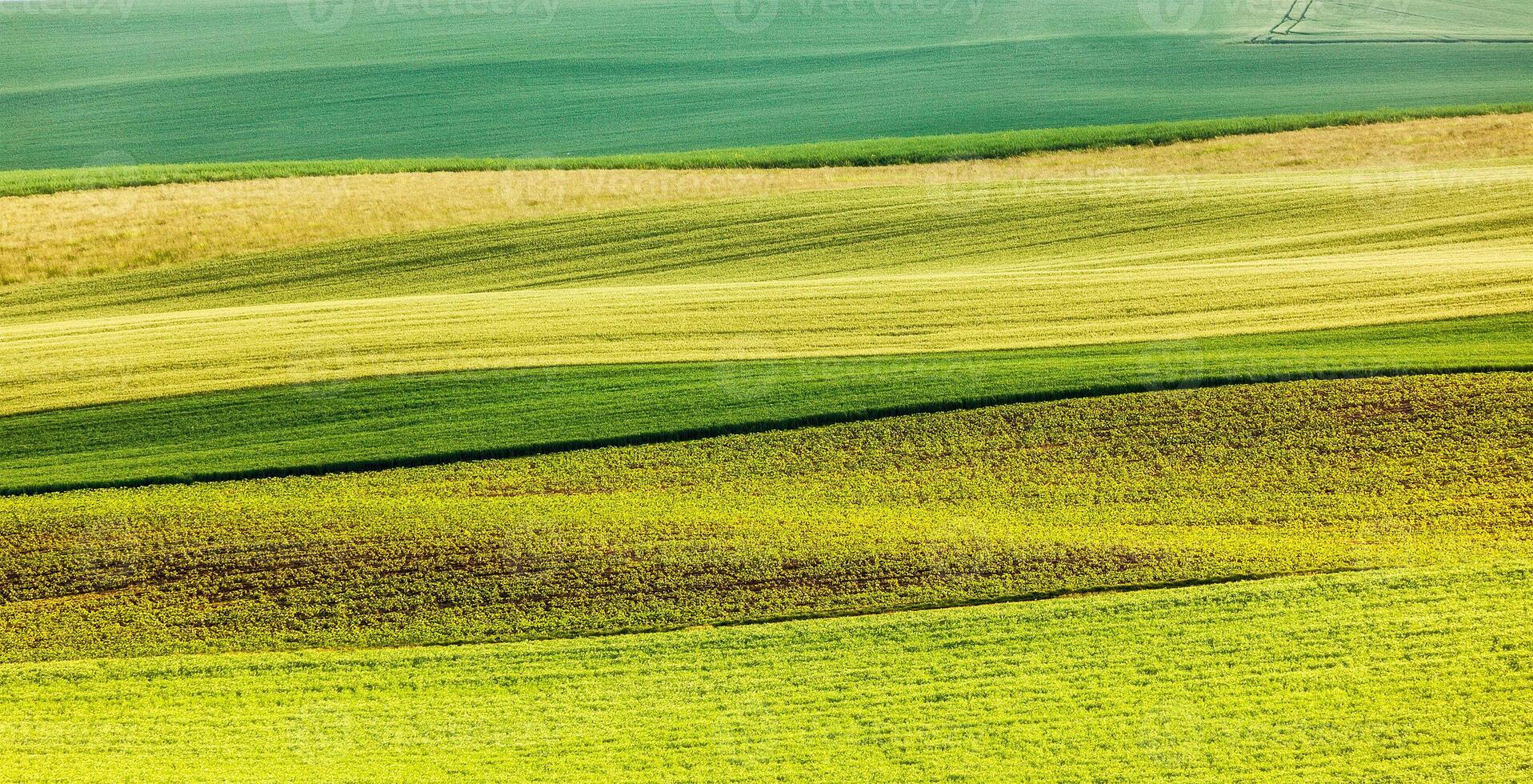 Abstract pattern of rolling fields photo