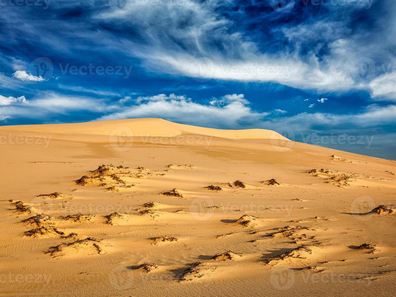 Desert sand dunes on sunrise photo